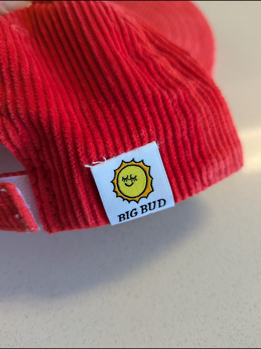 Big Bud Press | Red Corduroy Baseball Cap Dugout Hat - Picture 2 of 7